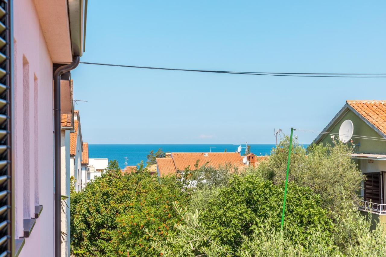 New 2020! Sanja Apartment